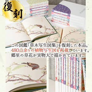 【ふるさと納税】丹宗律光画集(全12巻)美術品 丹宗律光 画集 絵画 図鑑 古書 書籍【生涯学習課】a-36-11