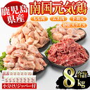 【ふるさと納税】鹿児島県産鶏肉！南国元気鶏セット(合計8kg