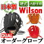 ڤդ뤵ǼǡۡżDUAL奰 WilsonżDUAL(1)    ݡ ᥤɡڥͥݡġa-250-7