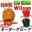 ڤդ뤵ǼǡۡżDUAL奰 WilsonżDUAL(1)    ݡ ᥤɡڥͥݡġa-250-3
