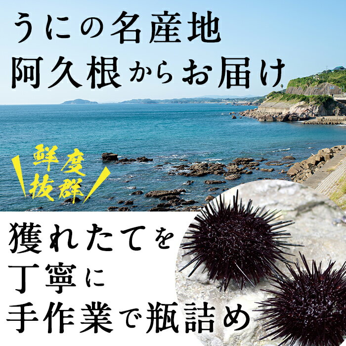 【ふるさと納税】粒うに(60g×2瓶) 国産 魚介 海産物 おつまみ おかず 海鮮丼 冷蔵配送 鹿児島県産 阿久根市産【雲丹屋本店松岡】a-12-10