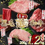 【ふるさと納税】＜選べる4種＞黒毛和牛(5等級カタ(ウデ)スライス約600g・肩ローススライス600g・切り落とし計1.2kg・サーロインステーキ200g) 国産 牛肉 切り落とし 大容量 BBQ 鍋 赤身 肩肉 ウデ スライス 薄切り しゃくし すき焼き しゃぶしゃぶ 冷凍【スターゼン】