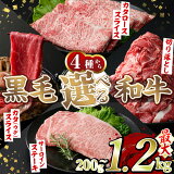 ڤդ뤵Ǽǡۡ٤4µ(ڤȤ1.2kg5饫()饤600g󥹥ơ200g饤600g)