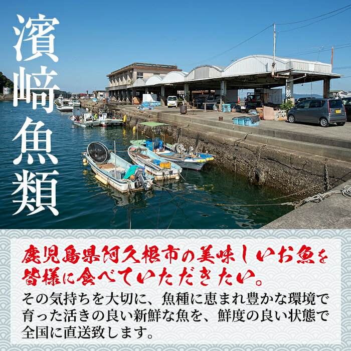 【ふるさと納税】数量限定！鹿児島県阿久根産 薩摩甘エビ(約1kg・42〜50尾) 国産 阿久根市産 えび 海老 急速冷凍 冷凍配送 魚貝類 魚介類 海産物 【濱崎魚類】a-12-30