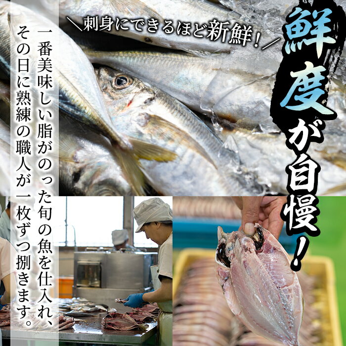 【ふるさと納税】＜2020年9月〜10月末の間に発送予定＞鹿児島県産！干物など詰め合わせ＜4種＞鯵(アジ)、鯖(サバ)など干物11枚にいわしフライ5枚の計16枚セット！あくねのお魚づくし【又間水産】 1-1