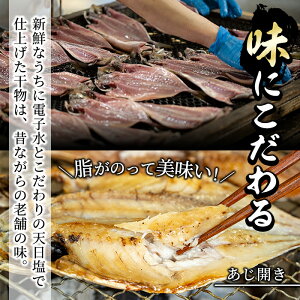 【ふるさと納税】鹿児島県産!干物など詰め合わせ<4種>鯵(アジ)、鯖(サバ)など干物11枚にいわしフライ5枚の計16枚セット!あくねのお魚づくし【又間水産】1-1