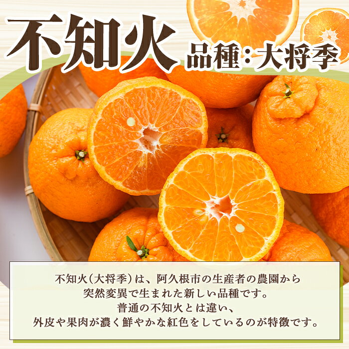 【ふるさと納税】＜先行予約受付中！2027年3月上旬以降順次発送予定＞ ＼テレビで紹介されました！／訳あり！露地栽培の不知火(約4kg：大将季) 国産 不知火 しらぬい 柑橘 果物 フルーツ デザート 露地 果実 期間限定 数量限定【古田果樹園】akn093-07 f462063-akune-10001560 鹿児島県阿久根市 サンプル画像3