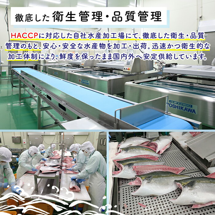 【ふるさと納税】＜種類・内容量が選べる！＞ブリの切り身(約1kg～2kg) 国産 鹿児...