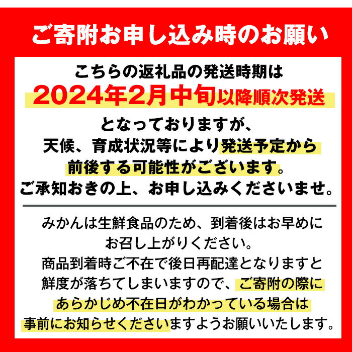 【ふるさと納税】≪2024年2月中旬〜5月中旬の間に発送≫鹿児島県出水市特産！紅甘夏(約10kg) みかん ミカン 蜜柑 果物 くだもの フルーツ 柑橘 10kg 国産 おやつ 旬 【JA鹿児島いずみ(果実課)】