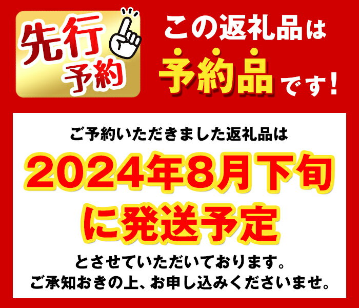 【ふるさと納税】 ＜先行予約受付中！2024年8月下旬に発送予定＞＜訳あり＞九州産たけのこ水煮(200g×8P・計1.6kg) たけのこ 筍 タケノコ 水煮 国産 訳アリ 常温保存 常温 料理 煮物 炊き込みご飯 おでん 料理 お手軽 【マツバラ】