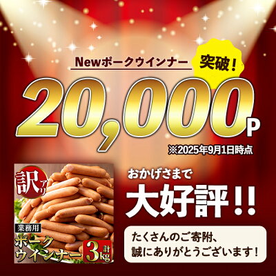 【ふるさと納税】《業務用・訳あり》Newポークウインナー( 1kg×3P・計3kg ) ウインナー 豚肉 国産 肉加工品 訳アリソーセージ ウインナーソーセージ 簡易包装 業務用 おかず お弁当 晩御飯【ナンチク】 - Image 2