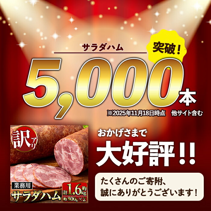 【ふるさと納税】《業務用・訳あり》サラダハム (計1.6kg~8kg /定期便 全3回) ハム 国産 豚肉 塩漬 熟成 プレスハム 肉加工品 訳アリ 業務用 サラダ トッピング 定期便 配送間隔が選べる 【ナンチク】