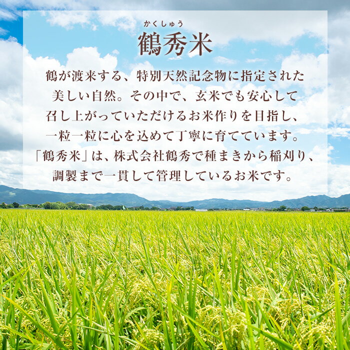 【ふるさと納税】＜数量限定！新米＞ 令和7年産 鶴秀米 ヒノヒカリ 玄米 (5kg×2袋・10kg) 米 お米 10kg 国産 ヒノヒカリ 新米 おにぎり ごはん【GOOD TIME】