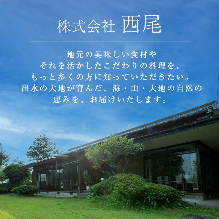 【ふるさと納税】＜訳あり・不揃い＞《回数を選べる！》 いずみどり むね肉 小分け (計3.45kg～20.7kg以上／1回・3回・6回) ムネ肉 胸肉 鶏ムネ 鶏むね 鶏肉 定期便 3回 6回 3kg 肉 唐揚げ 鶏料理 冷凍 真空 訳あり サイズ不揃い 訳あり 規格外 小分けパック【西尾】