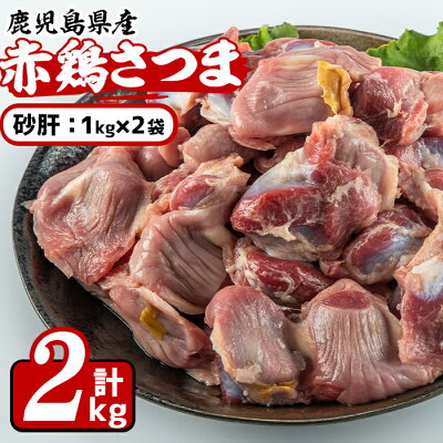 【ふるさと納税】鹿児島県産鶏肉！赤鶏さつま砂肝(計2kg)美味しくてシャキッとした歯応えの鶏肉！【Scale-UP】