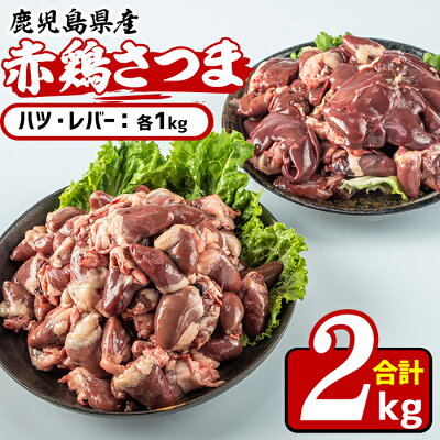 【ふるさと納税】鹿児島県産鶏肉！赤鶏さつまハツ・レバー(合計2kg)美味しくてシャキッとした歯応え！【Scale-UP】