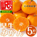 【ふるさと納税】<先行予約受付中!2025年12月の間に発送予定> <数量・期間限定>《傷ありのため訳あり》鹿児島みかん 早生系 (約5kg) みかん 蜜柑 ミカン 柑橘 早生 果物 フルーツ 果実 国産 鹿児島 訳あり 数量限定 期間限定 【江崎果樹園】
