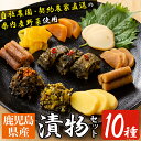 【ふるさと納税】出水漬けもの10種セット!高菜や大根、ゴボウ...