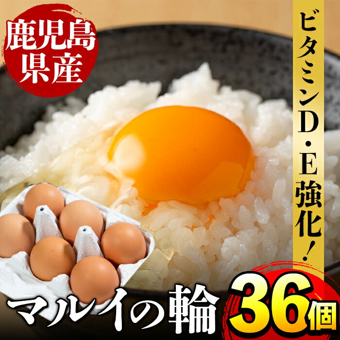 【ふるさと納税】鹿児島県産の赤たまご!マルイの輪(たまご)×36個(6個入り×6パック) 業務用 国産 九州産 生卵 卵 たまご 玉子 鶏卵 鶏 M玉 TKG 卵焼き 食品 【マルイ食品】