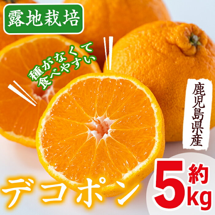 ≪先行予約受付中!2026年3月上旬から順次発送≫鹿児島県産!デコポン(約5kg・L~4Lサイズ 15~24玉) 国産 みかん 柑橘 種なし 果物 くだもの フルーツ 旬 露地裁場 [JA鹿児島いずみ(果実課)]