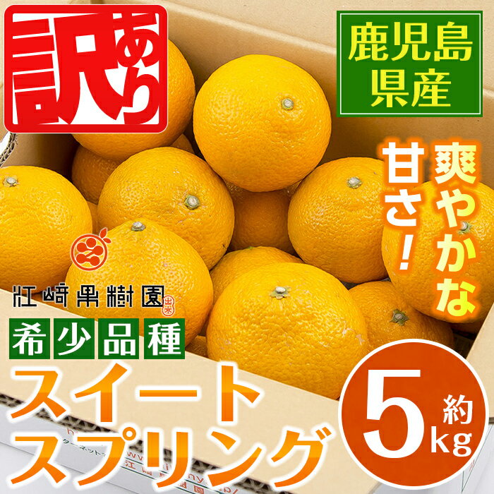 [先行予約受付中!2025年12月下旬〜2月下旬の間に発送予定] [数量・期間限定] [傷ありのため訳あり] スイートスプリング (約5kg) 鹿児島 みかん スイートスプリング 柑橘 果物 くだもの フルーツ 旬 ミカン [江崎果樹園]