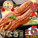 【ふるさと納税】\特大サイズ/ 尾数が選べる! 鹿児島県産 うなぎ蒲焼 ( 2尾 / 3尾 / 5尾 / 定期便 ) 1尾 約220g たれ 山椒付きうなぎ 鰻 ウナギ 特大 特大サイズ 特大鰻 蒲焼き 国産 鹿児島県産 生産量日本一 おかず 晩御飯 特別な日 土用の丑の日 選べる 【薩摩川内鰻】