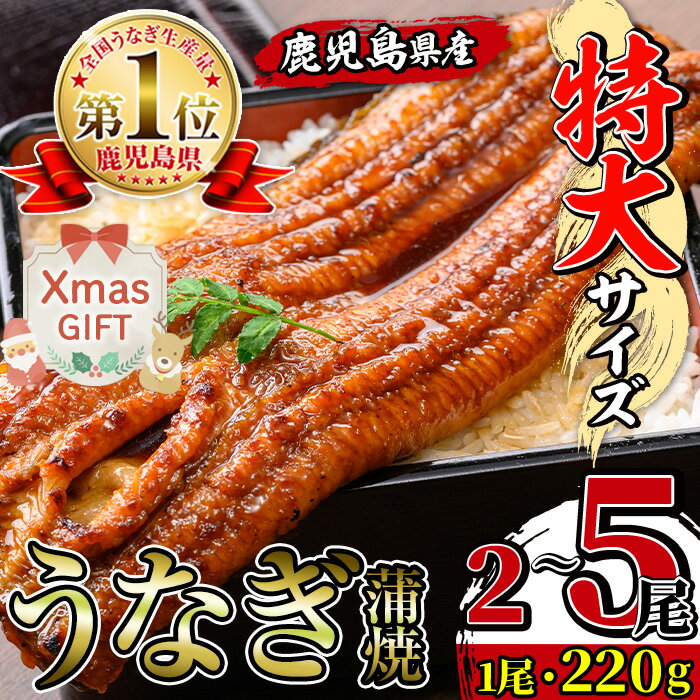 [クリスマスギフト]＼特大サイズ/ 尾数が選べる! 鹿児島県産 うなぎ蒲焼 ( 2尾 / 3尾 / 5尾 ) 1尾 約220g たれ 山椒付きうなぎ 鰻 ウナギ 特大 特大サイズ 特大鰻 蒲焼き 国産 鹿児島県産 選べる 贈答 ギフト プレゼント クリスマス [薩摩川内鰻]