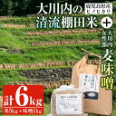 【ふるさと納税】鹿児島県出水市産の大川内清流棚田米(5kg)と大川内女性部味噌(1kg)のセット！甘み・粘りのある冷めても美味しいヒノヒカリと手作り麦みその詰め合わせ！【大川内地区コミュニティ協議会】