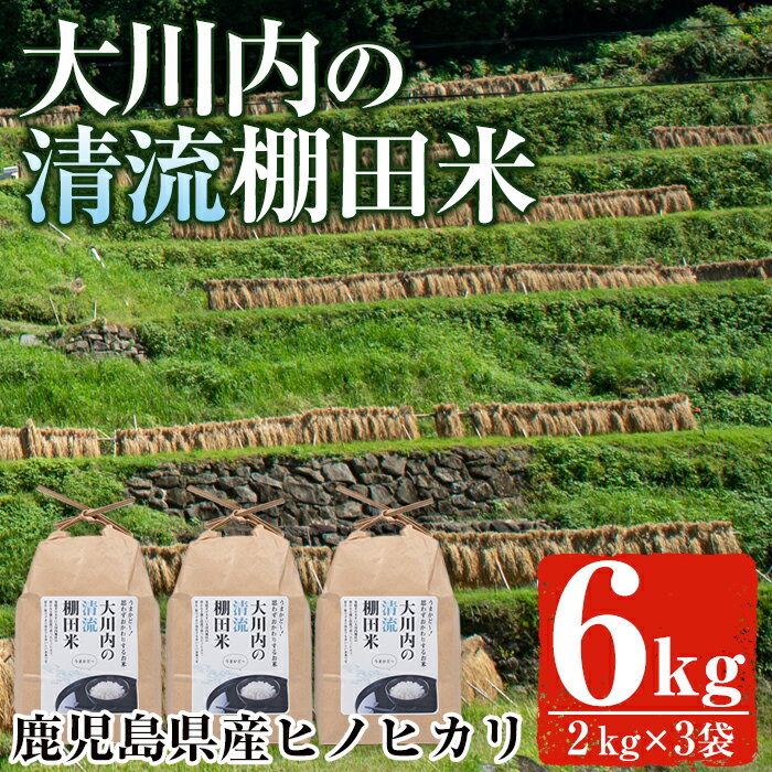 鹿児島県出水市産の大川内清流棚田米(6kg) 米 白米 お米 6kg 国産 ひのひかり ヒノヒカリ 精米 おにぎり ごはん [大川内地区コミュニティ協議会]