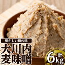 【ふるさと納税】鹿児島県出水市産の大川内麦味噌(1kg×6袋 計6kg) 味噌 みそ 味噌汁 国産 田舎味噌 麦みそ 家庭の味 冷蔵 【大川内地区コミュニティ協議会】