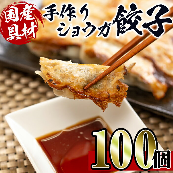 27位! 口コミ数「2件」評価「5」国産豚肉使用！手作りショウガ餃子100個セット(10個×10パック たれ付き） 餃子 ぎょうざ ニンニク不使用 しょうが 生姜 冷凍 おかず･･･ 