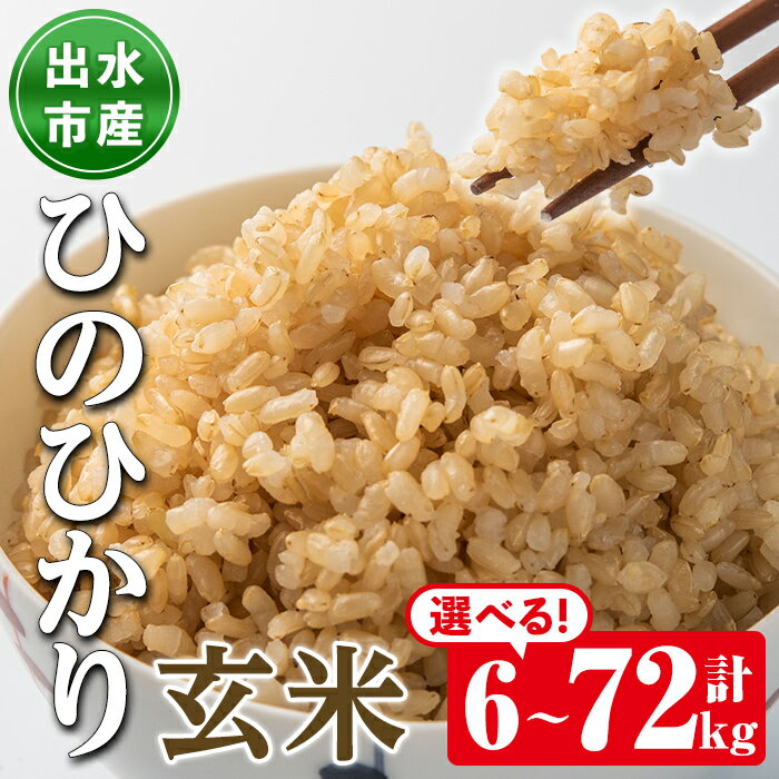 [選べる!お届け内容]鹿児島県出水市産ひのひかり玄米[計6kg・計12kg・計36kg・計72kg] 定期便 令和5年産 米 玄米 お米 12kg 国産 ひのひかり おにぎり ごはん 自家脱穀 お米マイスター 厳選 [田上商店]