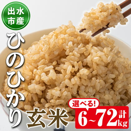 ＜選べる！お届け内容＞鹿児島県出水市産ひのひかり玄米＜計6kg・計12kg・計36kg・計72kg＞ 定期便 令和5年産 米 玄米 お米 12kg 国産 ひのひかり おにぎり ごはん 自家脱穀 お米マイスター 厳選 【田上商店】