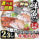 【ふるさと納税】＜配送回数を選べる！＞出水の鮮魚おためしBOX(約2〜3kg程度 3〜6種類／1回 or 3回 or 4回)魚 鮮魚 鹿児島県 出水近海 お寿司 煮付 料理 旬 何が届くかはお楽しみ 定期便 詰め合わせ 詰合せ 冷蔵【出水はやし】