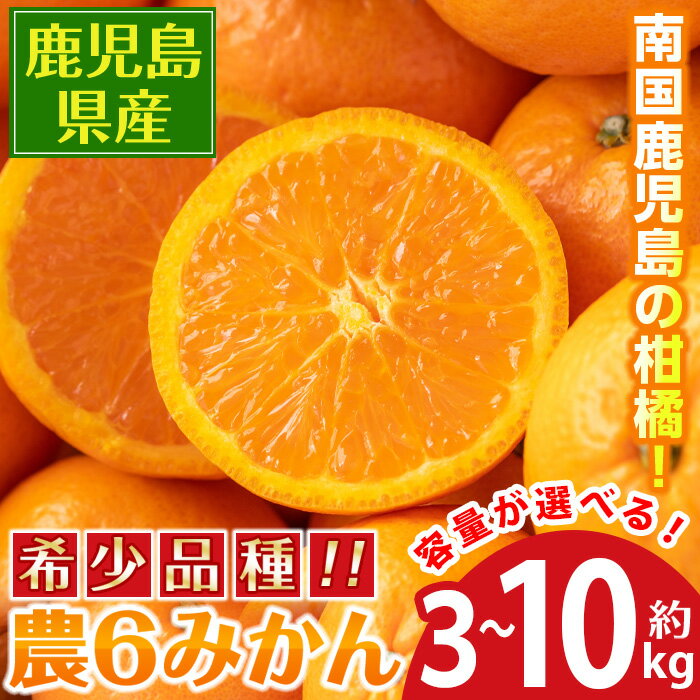 【ふるさと納税】＜2024年3月下旬～5月下旬の間に発送予定＞農6みかん(約3kg or 約5kg or 約10kg)鹿児島県産の希少ミカン！酸味が抑えられたマイルドな香りの柑橘をお届け！果物 フルーツ 果実 柑橘 国産 鹿児島県産 みかん ミカン 蜜柑【江崎果樹園】のサムネイル