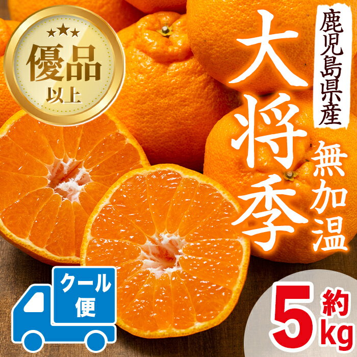 ≪先行予約受付中!2026年1月中旬以降順次発送予定≫[冷蔵便]大将季[無加温] (約5kg) 国産 みかん 柑橘 種果物 くだもの フルーツ 旬 糖度抜群[JA鹿児島いずみ(果実課)]