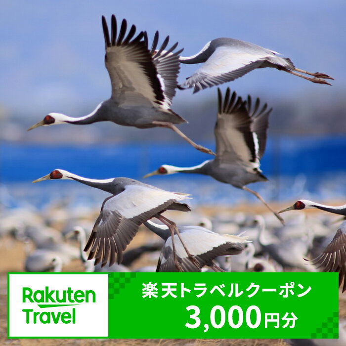 【ふるさと納税】鹿児島県出水市の対象施設で使える楽天トラベルクーポン 寄附額10,000円 観光地応援 ...