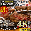 8位! 口コミ数「2件」評価「5」＜定期便・計6回(隔月)＞【訳あり】鹿児島県産！黒毛和牛の究極の手ごねハンバーグ(総計48個・100g×8個×6回) ハンバーグ 定期便 牛･･･ 