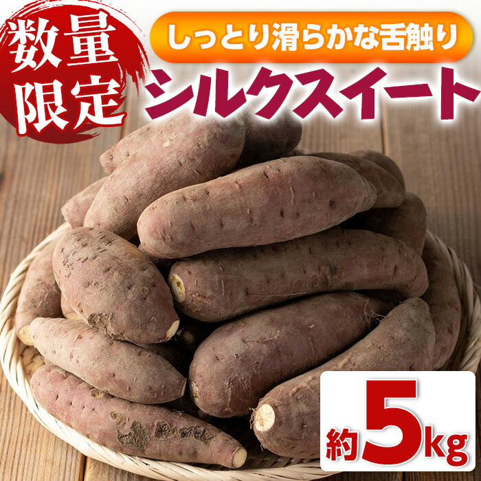 【ふるさと納税】＜先行予約受付中！2024年12月中旬以降順次発送予定＞≪数量限定≫シルクスイート(約5kg) 国産 サツマイモ 薩摩芋 さつまいも からいも お芋 シルクスイート 芋 焼き芋 干し芋 【眞鍋果樹園】のサムネイル