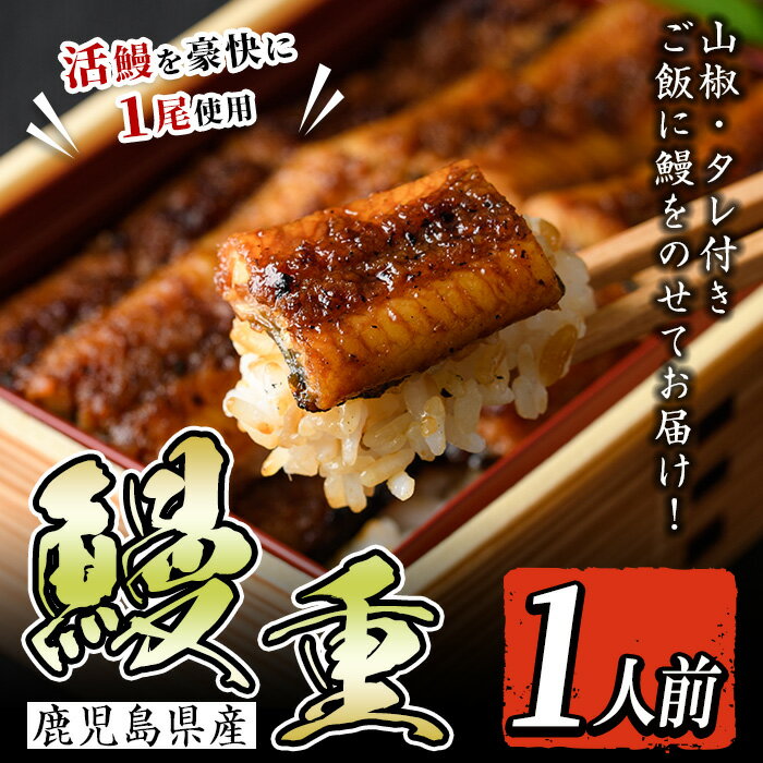 鹿児島県産 鰻重(1人前) うなぎ 鰻 ウナギ うな重 国産 鹿児島県産 おかず 晩御飯 特別な日 土用の丑の日 [とらふぐ家]