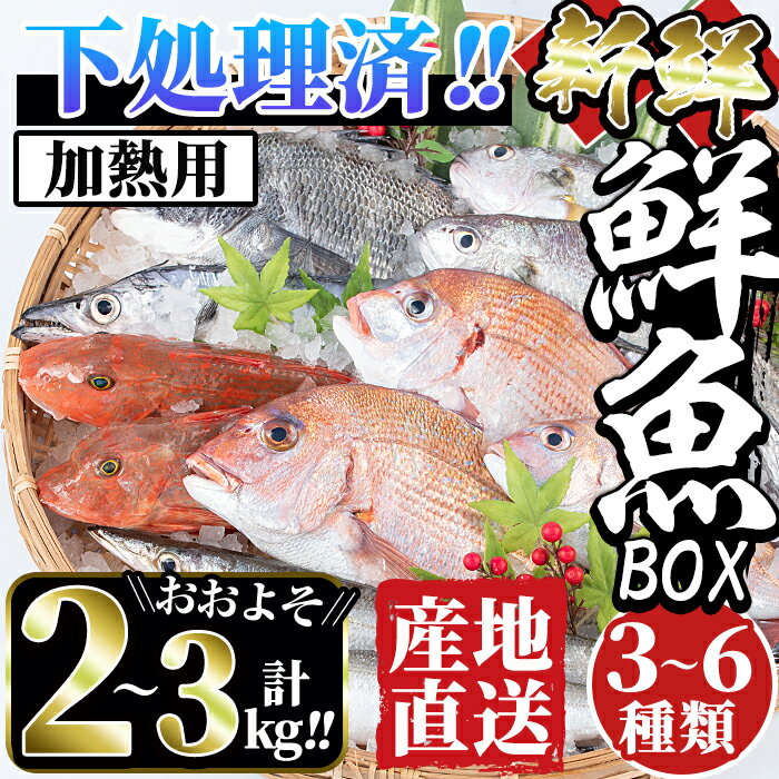 [下処理済・加熱用]おまかせ鮮魚BOX(約2〜3kg程度・3〜6種類) 魚 鮮魚 下処理済み 鹿児島県 出水近海 煮付 料理 旬 何が届くかはお楽しみ[出水はやし]