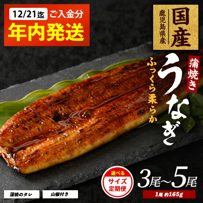 【ふるさと納税】【2025年12月21日ま