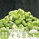 【ふるさと納税】南国指宿産 そら豆 さや付き 約5kg|新鮮な春の味覚をお届け! 鹿児島 そら豆 ソラマメ そらまめ さや付き 旬 野菜 春の味覚 産地直送 お...