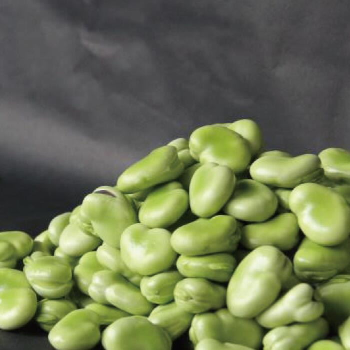 【ふるさと納税】＜先行予約受付中！2026年1月中旬以降順次発送＞鹿児島県指宿市産！アグリスタイルの豆三昧♪5種類の中から3種以上の豆をお届け！ 野菜 旬 詰め合わせ 豆 まめ えんどう豆 そら豆 スナップエンドウ 絹さや 鹿児島 春 秋 冬 【アグリスタイル】