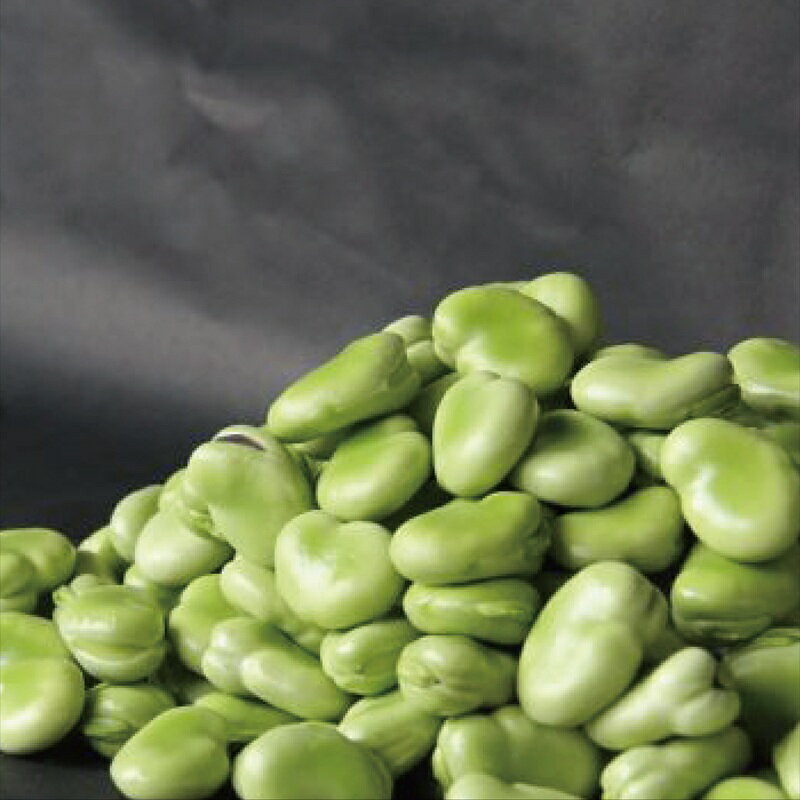 鹿児島県指宿市の画像2