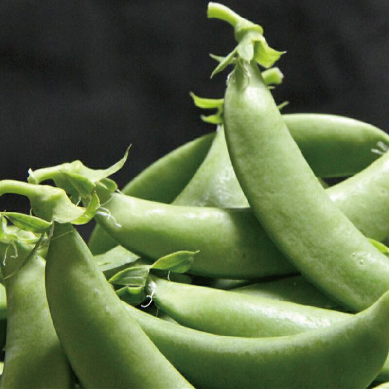 鹿児島県指宿市の画像3