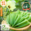 【ふるさと納税】指宿(いぶすき)産 オクラ(2kg) オクラ おくら 野菜 夏野菜 旬 特産 夏 新鮮 鹿児島県【オネファーム】