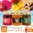 【ふるさと納税】鹿児島県指宿市産トロピカルフルーツジャムセット(有機肥料栽培のマンゴー・パッションフルーツ・ドラゴンフルーツ )計420g(各140g) ジャム...