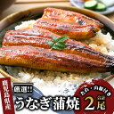 【ふるさと納税】鹿児島県産鰻!うなぎ蒲焼じっくり焼き(約140g 2尾、タレ・山椒付) うなぎ 鰻 ウナギ 国産 蒲焼き かばやき うな重 うな丼 ひつまぶし ...