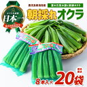 【ふるさと納税】<期間限定>鹿児島県指宿市産!朝採れ新鮮いぶすきオクラ(計160本・8本×20袋)おくら オクラ 豆 野菜 鹿児島県 そうめん 納豆 キムチ 【指宿促成青果】